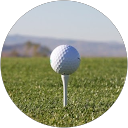 Hallie Hinton profile picture