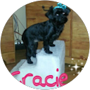 Jody Densford profile picture